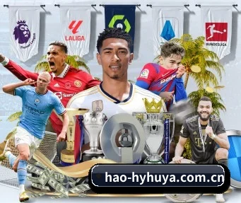 hao-hyhuya.com.cn APP
