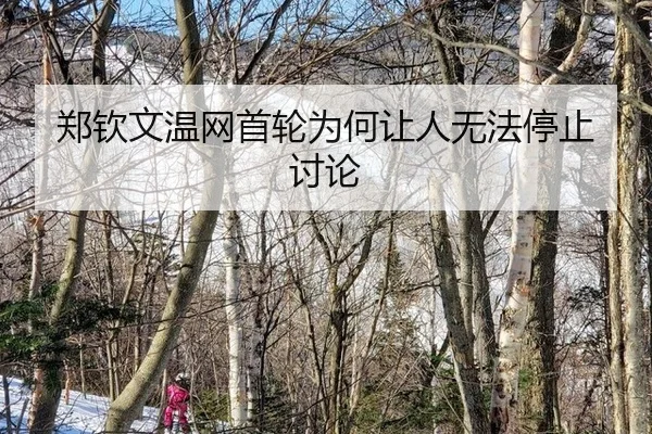 郑钦文温网首轮为何让人无法停止讨论（huya）